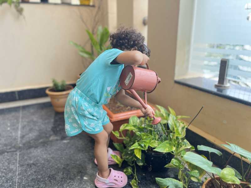 Toddler Program