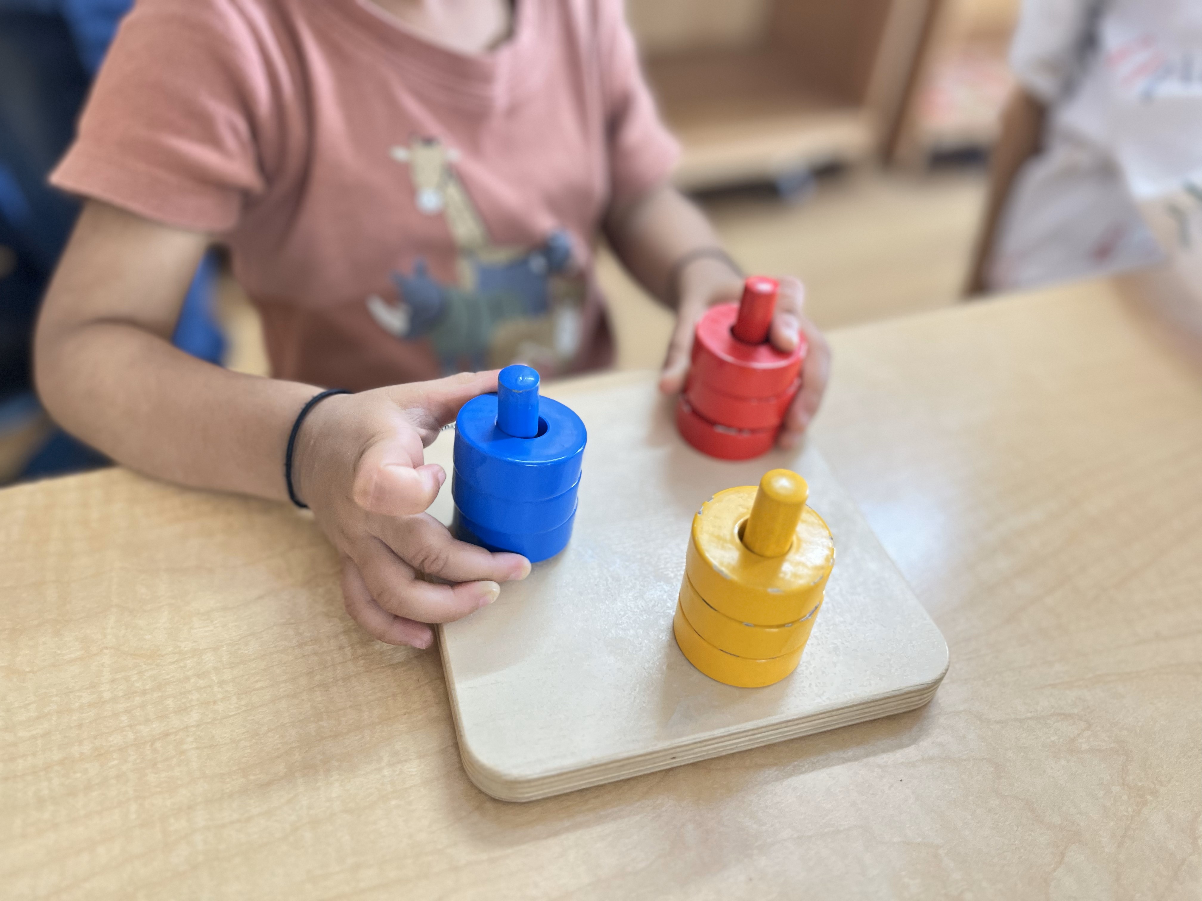 Montessori in Action Cover